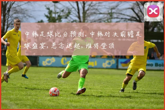 中韩足球比分预测,中韩对决前瞻足球盛宴,悬念迭起,谁将登顶