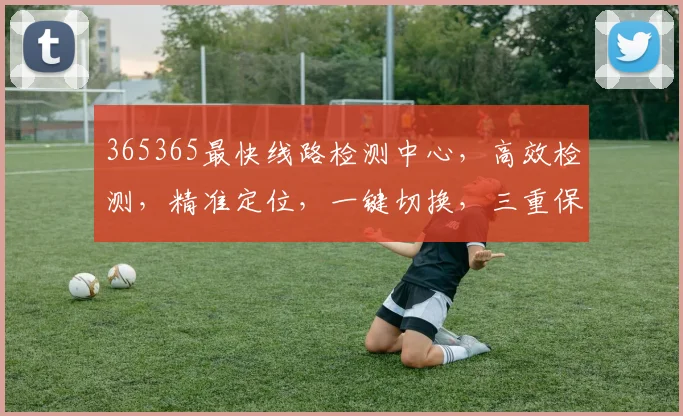 365365最快线路检测中心，高效检测，精准定位，一键切换，三重保障，畅享无忧