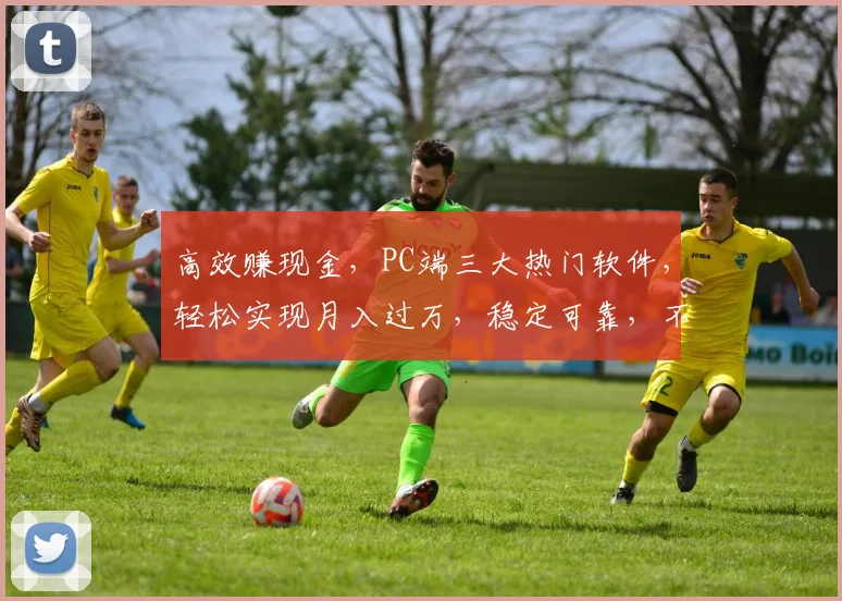 高效赚现金，PC端三大热门软件，轻松实现月入过万，稳定可靠，不容错过，三款齐聚