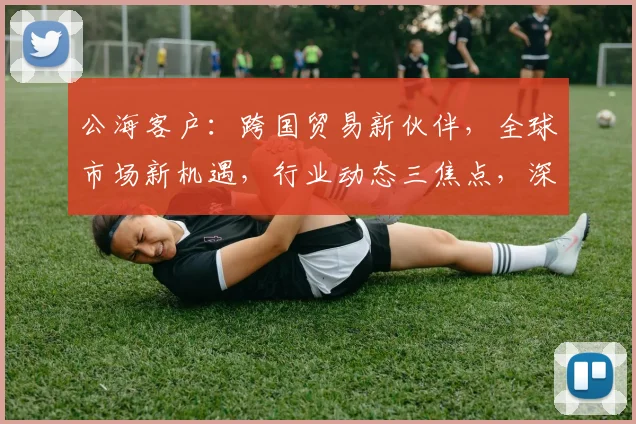 公海客户：跨国贸易新伙伴，全球市场新机遇，行业动态三焦点，深度解析